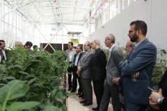 زیارة مدير عام غرب آسيا وشمال إفريقيا بوزارة الخارجية لحدیقة فاوا