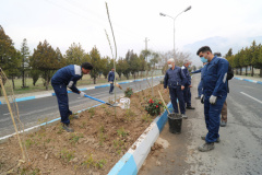 احتفال يوم الشجرة في حدیقة فاوا