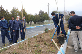 Arbor Day Ceremony in ICT Park