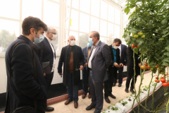 Chairman of the Parliament's Agriculture Commission Visits ICT Park