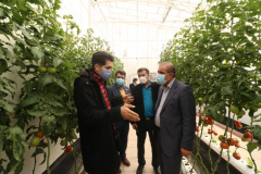 Chairman of the Parliament's Agriculture Commission Visits ICT Park