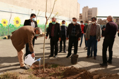 Donation of 50 Saplings to the Schools of District Two in Alborz