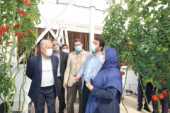 Vice-President for Technology and Innovation in the Ministry of Communication and Information Technology Visits ICT Park