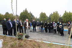 Arbor Day Ceremony in ICT Park