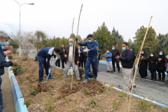 Arbor Day Ceremony in ICT Park