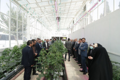 Director-General of West Asia and North Africa in the Ministry of Foreign Affairs Visits ICT Park