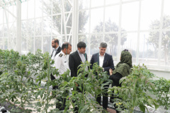 Mali's Minister of Science and Research Visits ICT Park's Alborz Branch