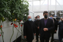 Dr. Sadigh Damghanizadeh: 100 small-scale smart greenhouses will be set up in Iran