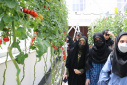 University of Tehran’s Communication Studies students visit the Information and Communications Technology Park (ICT)