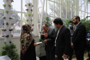 A Draft of a Memorandum of Understanding between Iran's ICT Park and Tunisia's Elgazala Park Was Reviewed