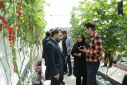 The second Generation of ICT Park Smart Greenhouse Inaugurated with the Presence of the Minister of Communications and Information Technology