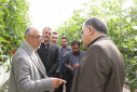 Dr. Sadigh: The establishment of Zanjan Park's greenhouse will create 320 new jobs