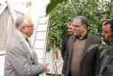 Dr. Sadigh: The establishment of Zanjan Park's greenhouse will create 320 new jobs