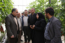 Dr. Sadigh: The establishment of Zanjan Park's greenhouse will create 320 new jobs