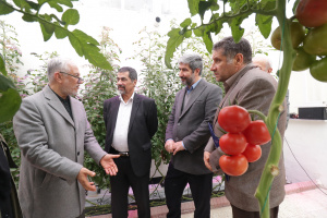 Fields for Joint Cooperation Were Explored Between ICT Park and Sadad Pars Technology Company