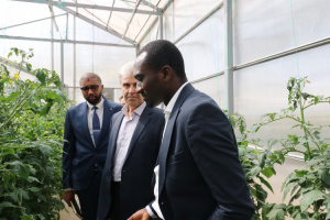 The DG of the Middle East Region of the Senegal’s MFA Visited ICT Park's Smart Greenhouse