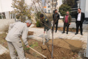 مراسم روز درختکاری در پارک فاوا برگزار شد